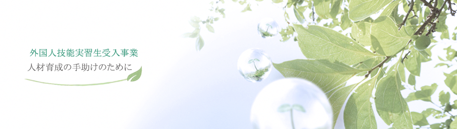 外国人技能実習生受入制度トップ画像